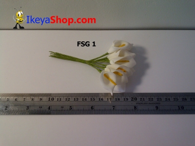 FSG 1  large2